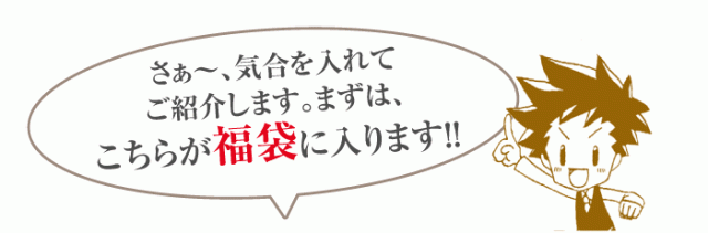 こちらが福袋に入ります