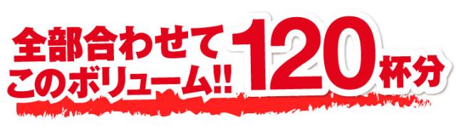 全部合わせてこのボリューム！