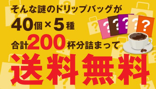 そんな謎のドリップバッグが250杯分詰まって送料無料!