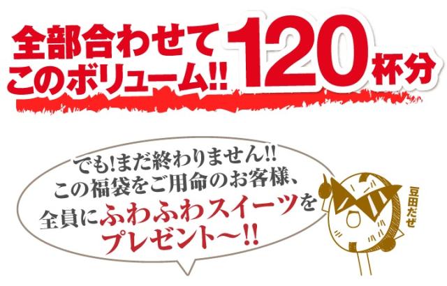 全部合わせてこのボリューム