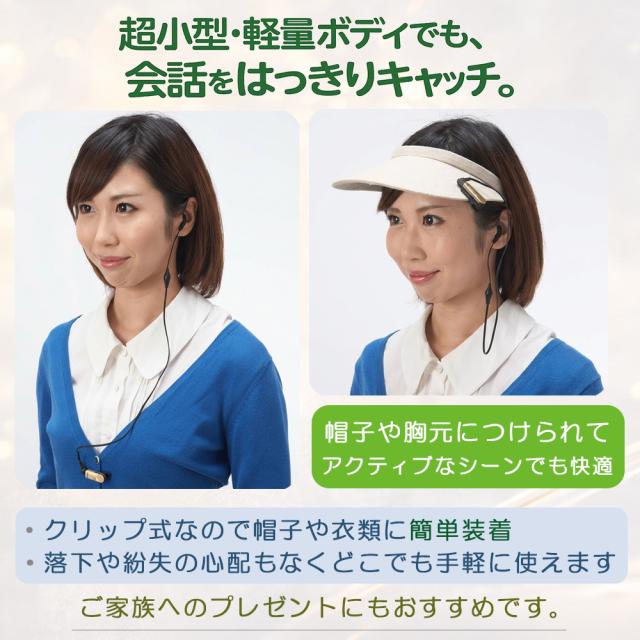 NHE-01Pゴールド3