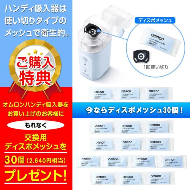 NE-S20クリスマスメッシュ30個