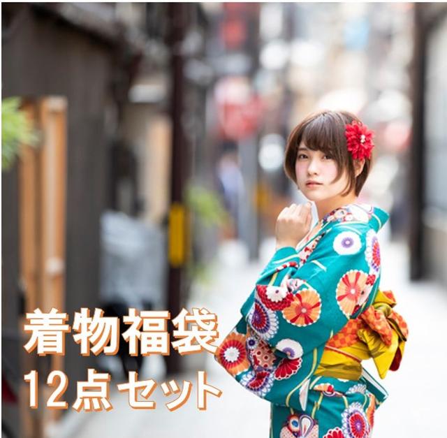 洗える着物 着物 福袋 着物デビュー 着付け お稽古 小紋 着物福袋 限定