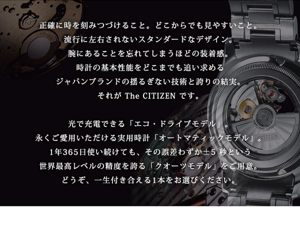 刻印無料】 ザ・シチズン クオーツ メンズ 腕時計 AB9000-52A THE