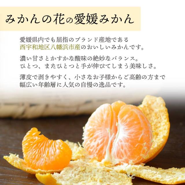 早生みかん説明