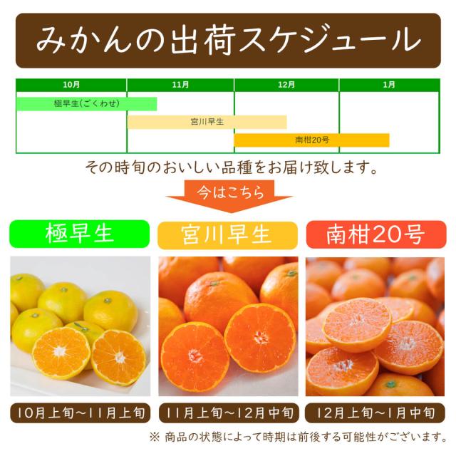 早生みかん説明