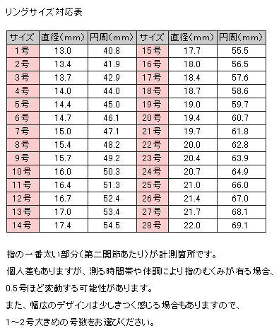 月初SALE] [送料無料] 【予約商品】 大きいサイズ レディース 指輪