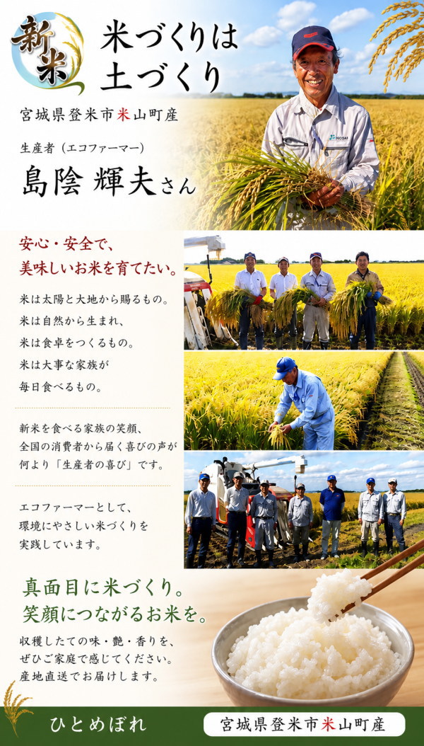 宮城県産ひとめぼれ 炊き上がり 甘み 粘り つや 白米 無洗米 5kg 30kg