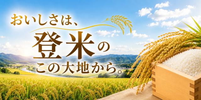 宮城県登米市 田んぼ 米どころ 特別栽培米 ササニシキ 産地 令和7年産