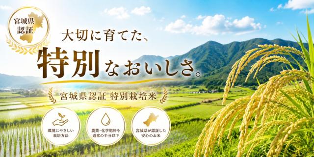 特別栽培米 宮城県産ササニシキ 減農薬 減化学肥料 登米市
