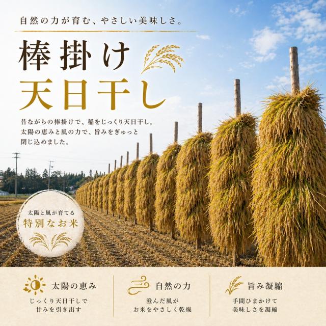天日干し ひとめぼれ 棒掛け 自然乾燥 宮城県登米市