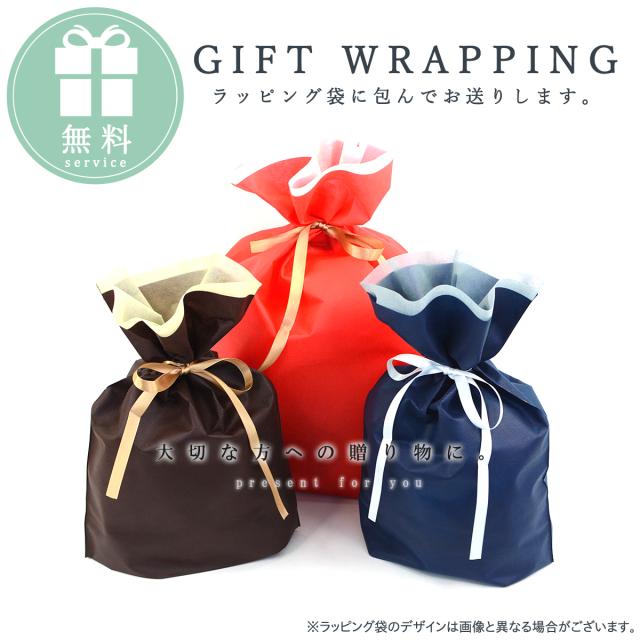 特典付き ショッピングカート 4輪 横押し 大容量 キャリーバッグ (hi