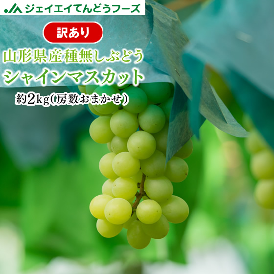 訳あり山形県産シャインマスカット