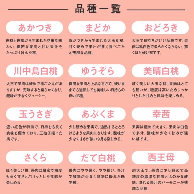 夏の味覚山形育ちの桃 | 春夏秋冬、一年を通して旬のくだものが実る山形県。山形県村山地方では８月になるとたわわに実をつけて重そうに枝をしならせる桃の木を見ることができます。山形は夏でも夜は涼しく、昼夜の寒暖差が桃を甘く育てるのです。ふっくらと丸く、全体的に紅く色づいていて香りが強いのが美味しい桃。産毛がチクチクとするものほど鮮度が高いと言われています。山形で育った、お日様をたっぷり浴びた甘くて美味しい桃をご賞味ください。
