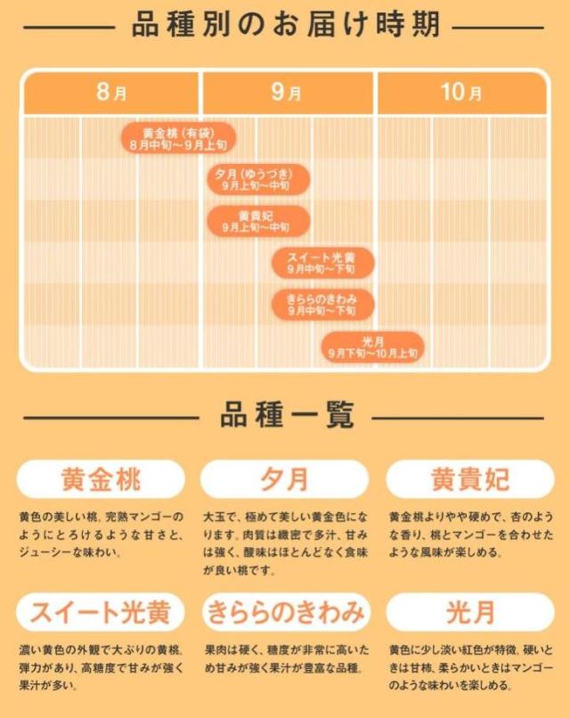 夏の味覚山形育ちの桃 | 春夏秋冬、一年を通して旬のくだものが実る山形県。山形県村山地方では８月になるとたわわに実をつけて重そうに枝をしならせる桃の木を見ることができます。山形は夏でも夜は涼しく、昼夜の寒暖差が桃を甘く育てるのです。ふっくらと丸く、全体的に紅く色づいていて香りが強いのが美味しい桃。産毛がチクチクとするものほど鮮度が高いと言われています。山形で育った、お日様をたっぷり浴びた甘くて美味しい桃をご賞味ください。