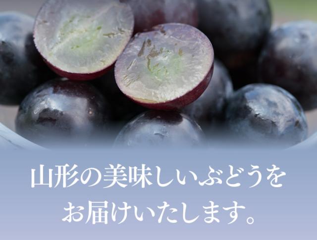 山形の美味しいぶどうをお届けいたします。