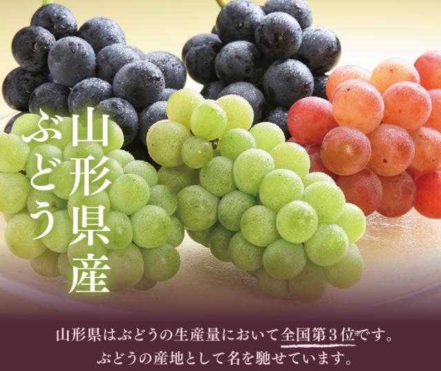 山形県産ぶどう | 山形県はぶどうの生産量において全国第3位です。ぶどうの産地として名を馳せています。