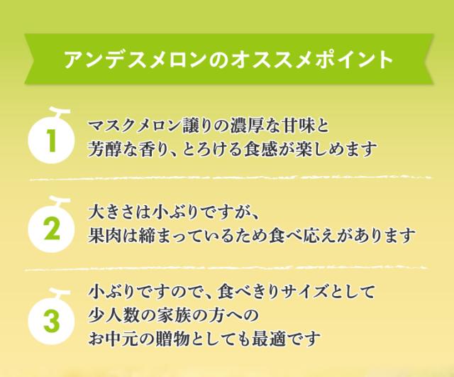 アンデスメロンのオススメポイント | 1.マスクメロン譲りの濃厚な甘味と芳醇な香り、とろける食感が楽しめます 2.大きさは小ぶりですが、果肉は締まっているため食べ応えがあります 3.小ぶりですので、食べきりサイズとして少人数の家族の方へのお中元の贈物としても最適です