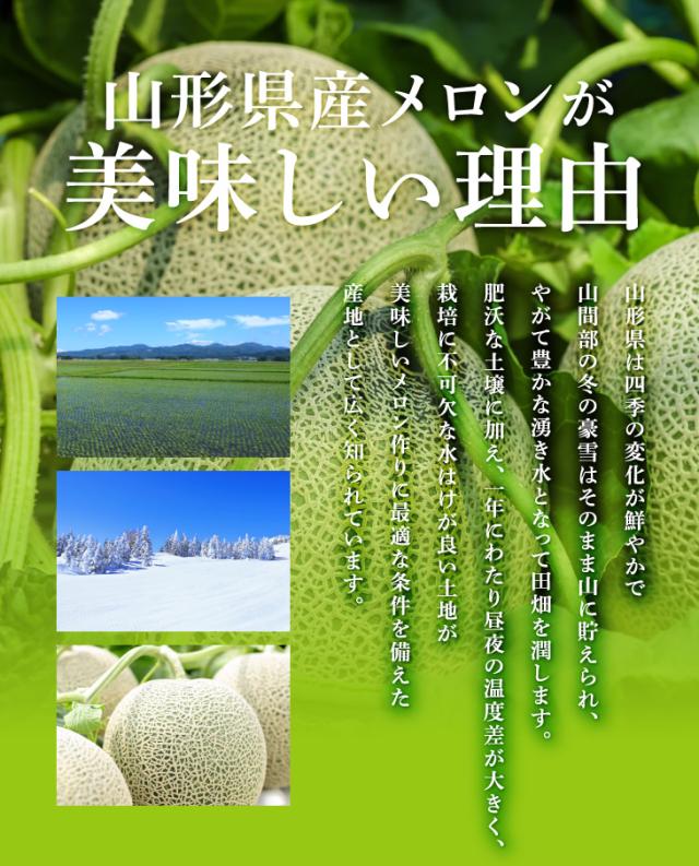 山形県産メロンが美味しい理由 | 山形県は四季の変化が鮮やかで山間部の冬の豪雪はそのまま山に貯えられ、やがて豊かな湧き水となって田畑を潤します。肥沃な土壌に加え、一年にわたり昼夜の温度差が大きく、栽培に不可欠な水はけが良い土地が美味しいメロン作りに最適な条件を備えた産地として広く知られています。