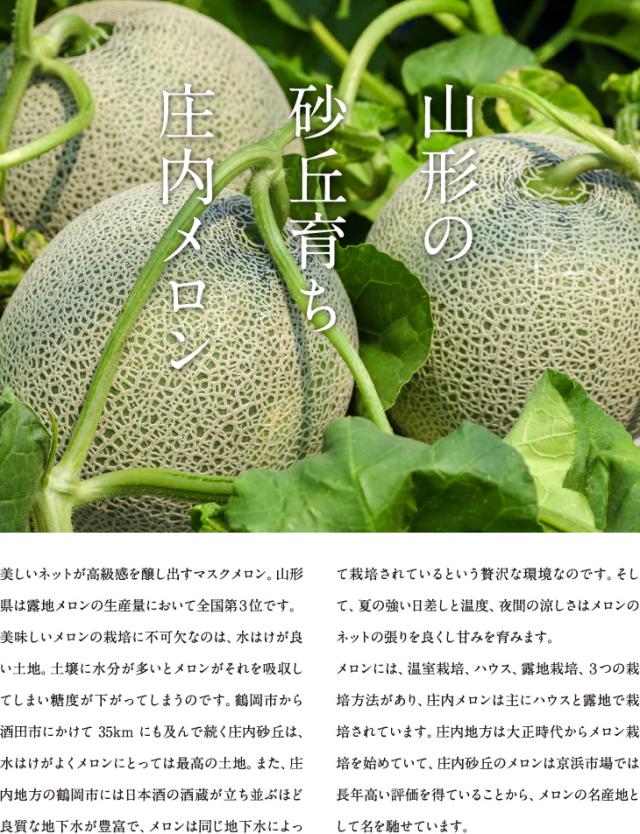 山形の砂丘育ち庄内メロン | 美しいネットが高級感を醸し出すマスクメロン。山形県は露地メロンの生産量において全国第3位です。美味しいメロンの栽培に不可欠なのは、水はけが良い土地。土壌に水分が多いとメロンがそれを吸収してしまい糖度が下がってしまうのです。鶴岡市から酒田市にかけて35kmにも及んで続く庄内砂丘は、水はけがよくメロンにとっては最高の土地。また、庄内地方の鶴岡市には日本酒の酒蔵が立ち並ぶほど良質な地下水が豊富で、メロンは同じ地下水によって栽培されているという贅沢な環境なのです。そして、夏の強い日差しと温度、夜間の涼しさはメロンのネットの張りを良くし甘みを育みます。メロンには、温室栽培、ハウス、露地栽培、3つの栽培方法があり、庄内メロンは主にハウスと露地で栽培されています。庄内地方は大正時代からメロン栽培を始めていて、庄内砂丘のメロンは京浜市場では長年高い評価を得ていることから、メロンの名産地として名を馳せています。
