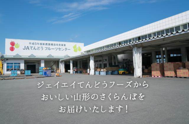 ジェイエイてんどうフーズから美味しい山形のさくらんぼをお届けいたします!
