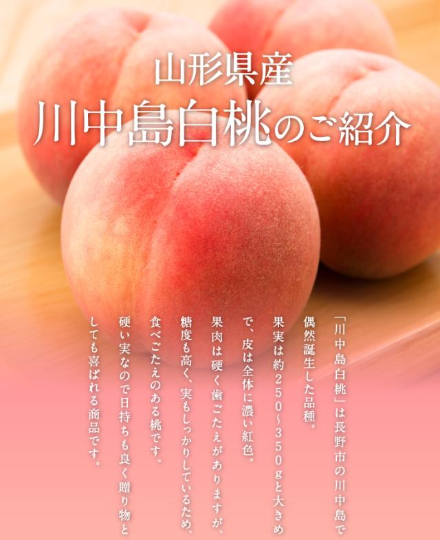 山形県産白桃 川中島白桃のご紹介 | 「川中島白桃」は長野市の川中島で偶然誕生した品種。果実は約250〜350gと大きめで、皮は全体に濃い紅色。果肉は硬く歯ごたえがありますが、糖度も高く、実もしっかりしているため、食べごたえのある桃です。硬い実なので日持ちも良く贈り物としても喜ばれる商品です。