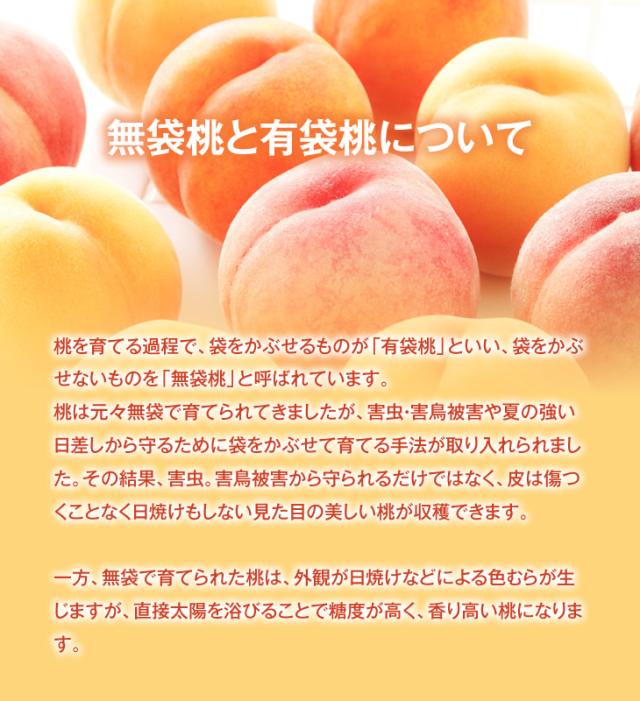 無袋桃と有袋桃について | 桃を育てる過程で、袋をかぶせるものが「有袋桃」といい、袋をかぶせないものを「無袋桃」と呼ばれています。桃は元々無袋袋で育てられてきましたが、害虫・害鳥被害や夏の強い日差しから守るために袋をかぶせて育てる手法が取り入れられました。その結果、害虫。害鳥被害から守られるだけではなく、皮は傷つくことなく日焼けもしない見た目の美しい桃ができあがります。一方、無袋で育てられた桃は、外観が日焼けなどによる色むらが生じますが、直接太陽を浴びることで糖度が高く、香り高い桃ができあがります。
