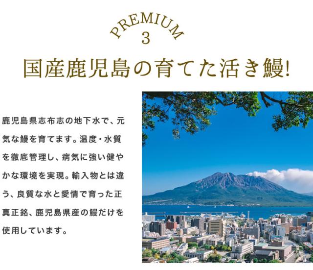 国産鹿児島の育てた活き鰻!鹿児島県志布志の地下水で、元気な鰻を育てます。温度・水質を徹底管理し、病気に強い健やかな環境を実現。輸入物とは違う、良質な水と愛情で育った正真正銘、鹿児島県産の鰻だけを使用しています。