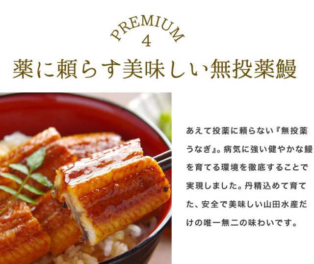 薬に頼らす美味しい無投薬鰻｜あえて投薬に頼らない『無投薬うなぎ』。病気に強い健やかな鰻を育てる環境を徹底することで実現しました。丹精込めて育てた、安全で美味しい山田水産だけの唯一無二の味わいです。