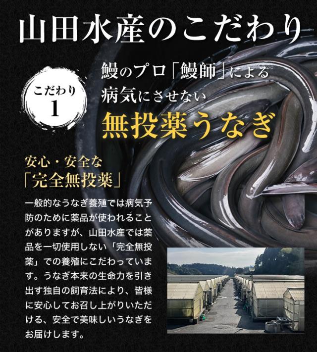 山田水産のこだわり鰻のプロ「鰻師」による病気にさせない無投薬うなぎ｜  安心・安全な「完全無投薬」一般的なうなぎ養殖では病気予防のために薬品が使われることがありますが、山田水産では薬品を一切使用しない「完全無投薬」での養殖にこだわっています。うなぎ本来の生命力を引き出す独自の飼育法により、皆様に安心してお召し上がりいただける、安全で美味しいうなぎをお届けします。