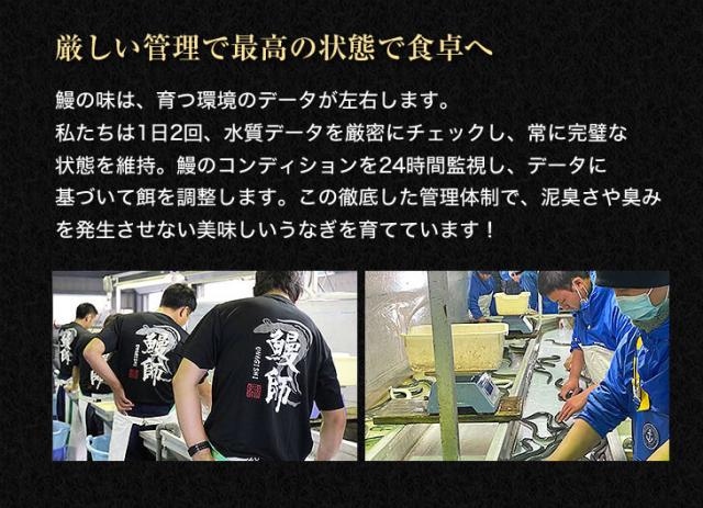 厳しい管理で最高の状態で食卓へ｜鰻の味は、育つ環境のデータが左右します。私たちは1日2回、水質データを厳密にチェックし、常に完璧な状態を維持。鰻のコンディションを24時間監視し、データに基づいて餌を調整します。この徹底した管理体制で、泥臭さや臭みを発生させない美味しいうなぎを育てています！