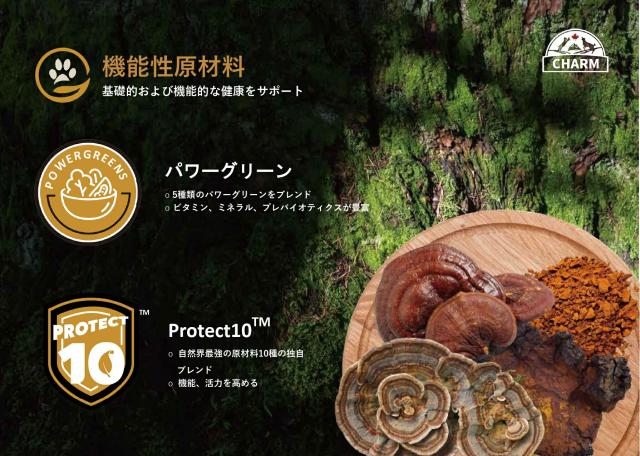 CHARM チャーム グラスフェッドラムドッグフード 10kg【ドッグフード