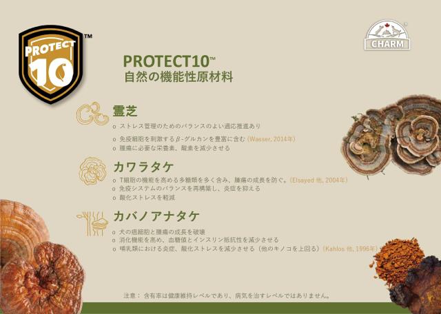 CHARM チャーム グラスフェッドラムドッグフード 10kg【ドッグフード