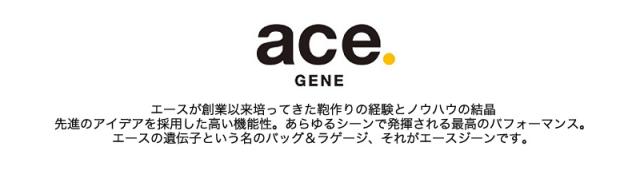 2WAY ビジネスバッグ ブリーフケース 撥水 エースジーン スリブライト ace.GENE ACE ショルダーバッグ エース おすすめ B4 ブランド 62525 ノートPC対応 タブレット対応 16L A4 B4ファイル 通勤