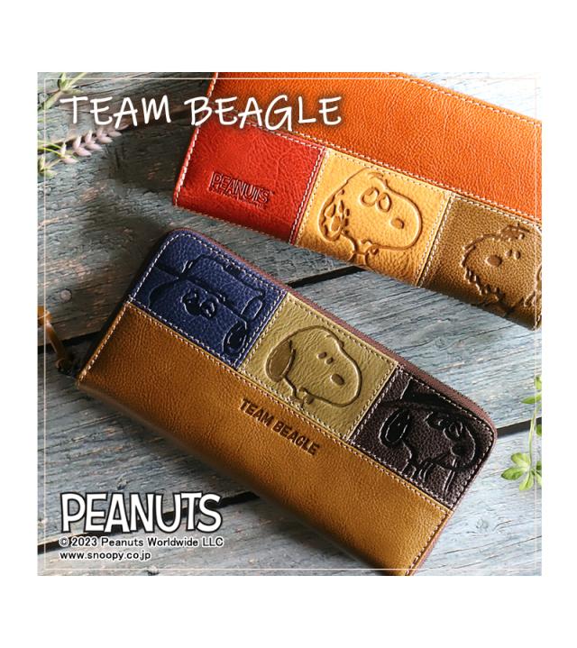PEANUTS TEAM BEAGLE