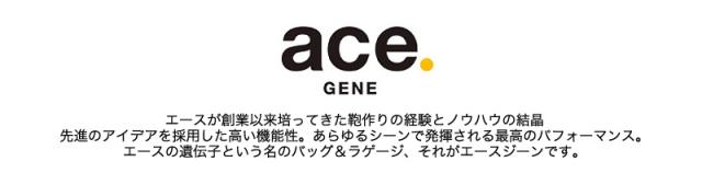 ボディバッグ メンズ 撥水 エースジーン ハンスリーSD ace.GENE ACE エース 斜め掛けバッグ ワンショルダーバッグ HANSREE-SD 通勤 ビジネス 62884 A4 旅行