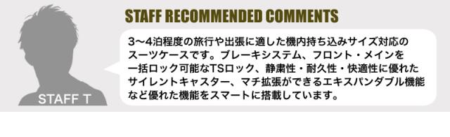 BERMAS(バーマス) EURO CITY2(ユーロシティ2)スーツケース 38/45L 60295