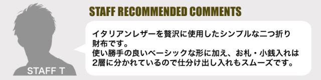AVIREX BEIDE SERIES アヴィレックス バイドシリーズ 二つ折り財布 小銭入れあり AX9100
