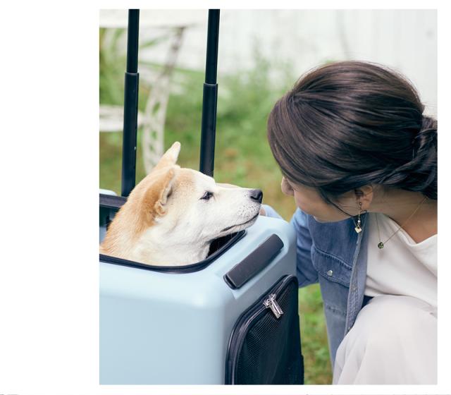ペットキャリー