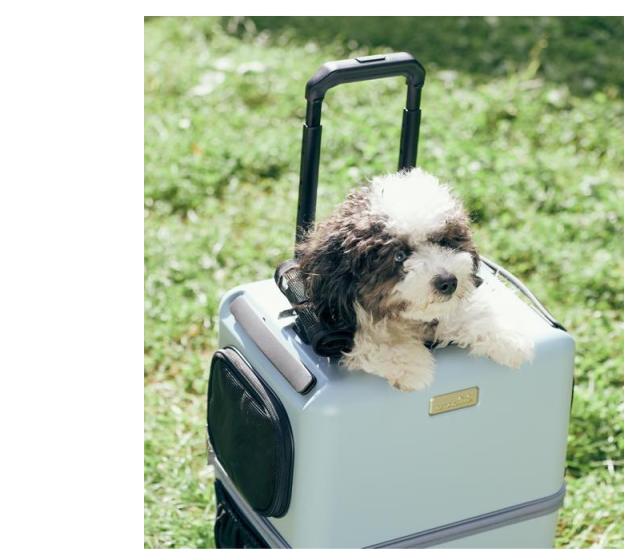 ペットキャリー