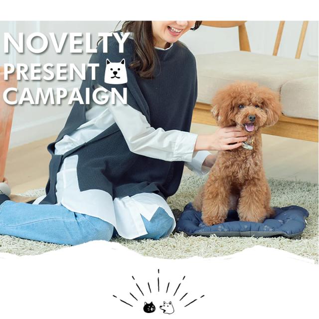 ペットキャリー