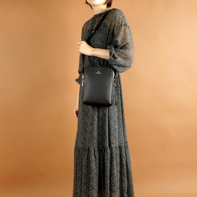 DRESSTERIOR ドレステリア