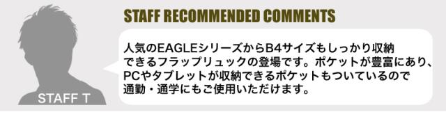 フラップリュック AVIREXEAGLE EAGLE イーグル メンズ レディース 男女兼用 AVX3531