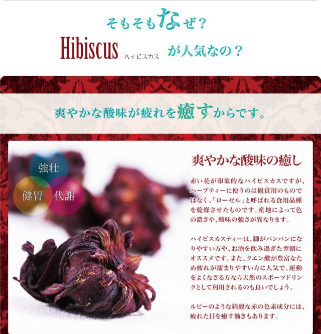 ハイビスカスとは