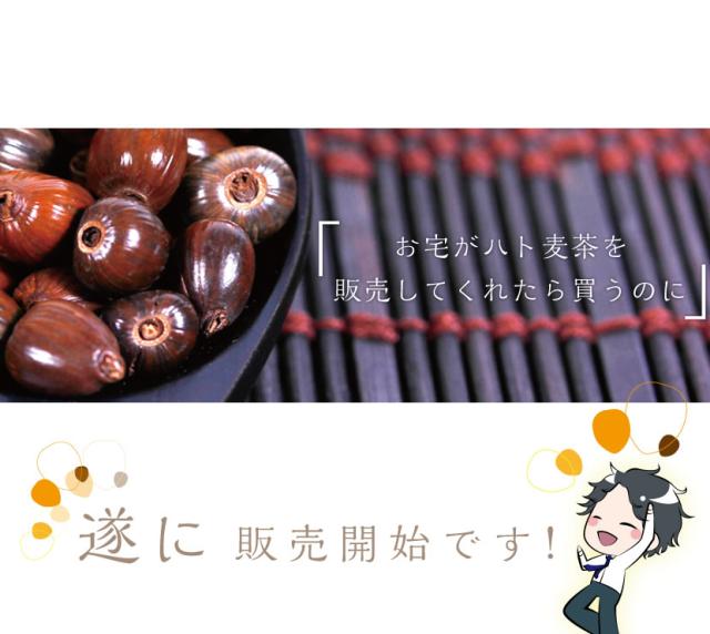 遂に販売開始です