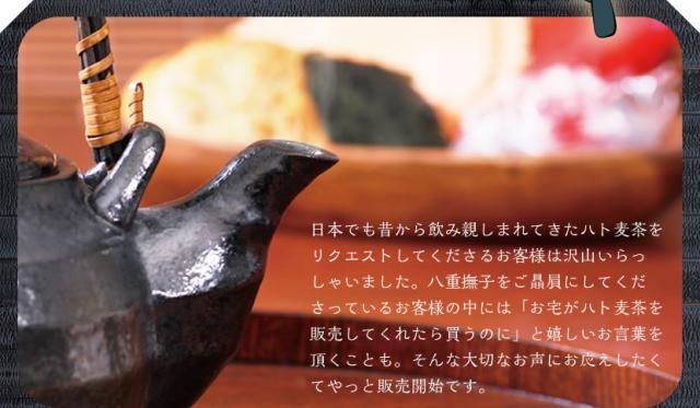 販売してくれたら買うという嬉しいお声も