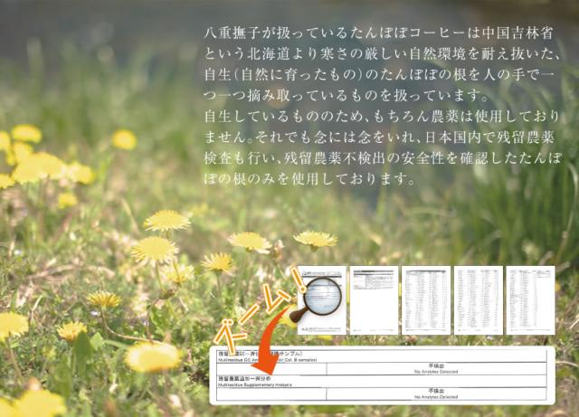 残留農薬検査も不検出