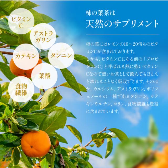 栄養豊富な柿の葉茶