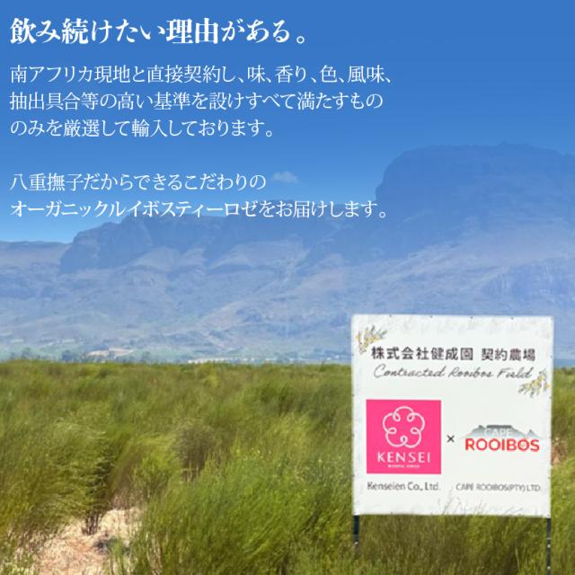 南アフリカの農家と直接契約した高品質ルイボス茶葉を使用