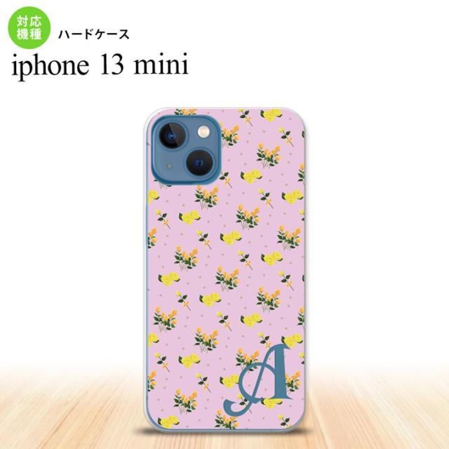 同じデザインのハードケースへ
